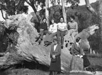 Six women on big log_Envelope 1971_c1936