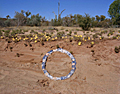 Circle and melons