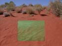 Square synthetic lawn on red sand