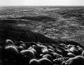 View NW from Olgas