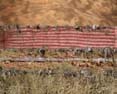 Fence montage