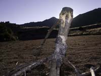 20080405_27