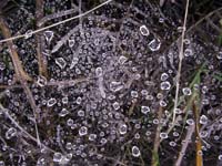 20080406_05_email