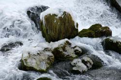 20091006_08