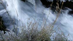 20091006_31