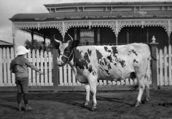 24-4_Beauty of Retreat_13 July 1915_web