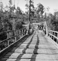 105-5_Bullock team & bridge_10 Sept 1923_cropped_web