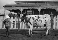 24-4_Beauty of Retreat_13 July 1915_web